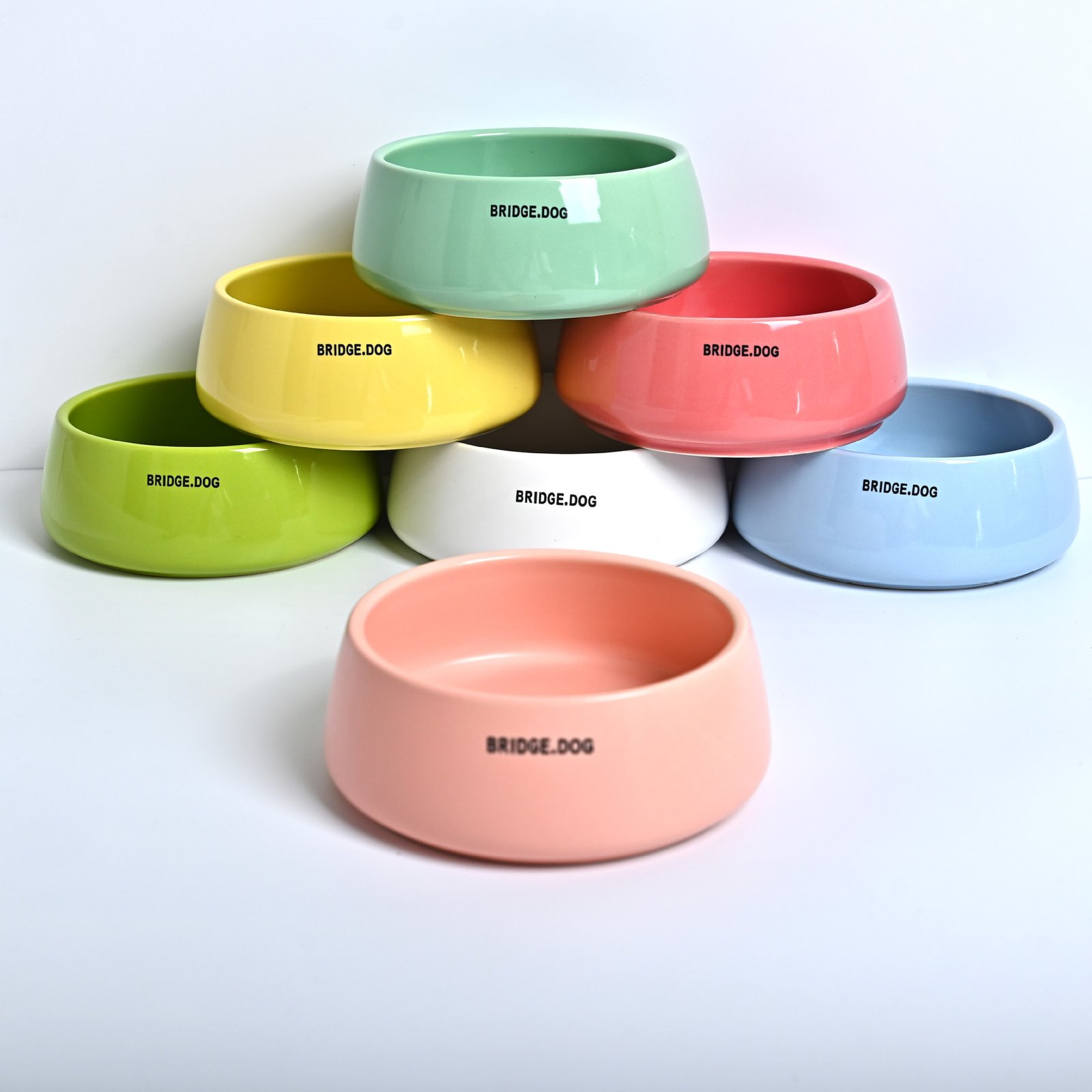 Pet Food Bowl